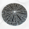 Opal MOP Inlay Round Coffee Table Floral Black 2